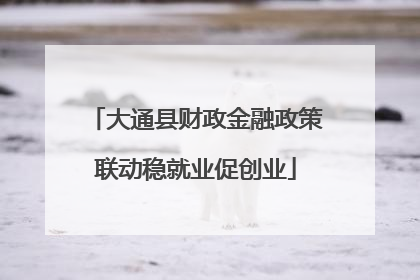 大通县财政金融政策联动稳就业促创业