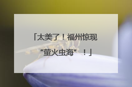 太美了！福州惊现“萤火虫海”！