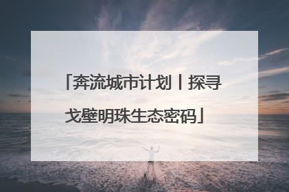 奔流城市计划丨探寻戈壁明珠生态密码