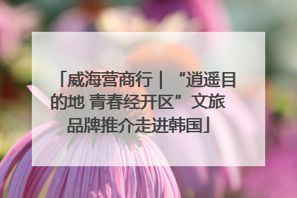 威海营商行｜“逍遥目的地 青春经开区”文旅品牌推介走进韩国