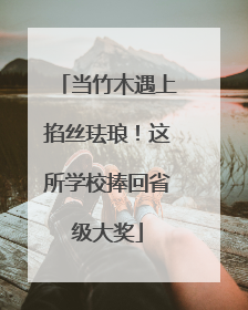 当竹木遇上掐丝珐琅！这所学校捧回省级大奖