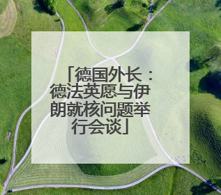 德国外长：德法英愿与伊朗就核问题举行会谈