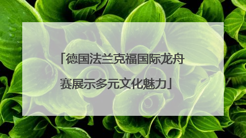 德国法兰克福国际龙舟赛展示多元文化魅力