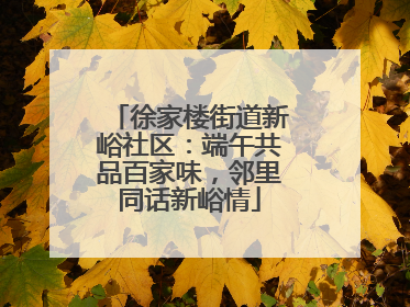 徐家楼街道新峪社区：端午共品百家味，邻里同话新峪情