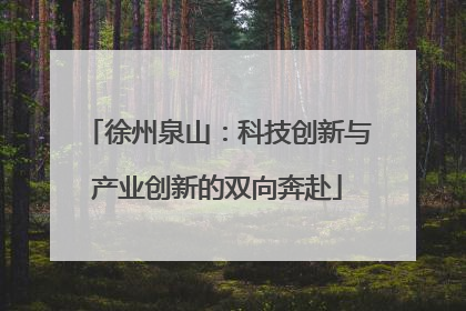 徐州泉山：科技创新与产业创新的双向奔赴