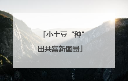 小土豆“种”出共富新图景