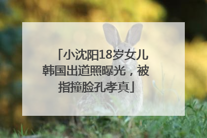 小沈阳18岁女儿韩国出道照曝光，被指撞脸孔孝真