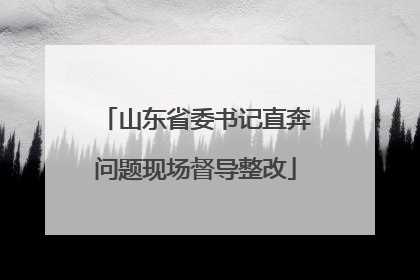 山东省委书记直奔问题现场督导整改