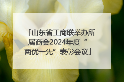 山东省工商联举办所属商会2024年度“两优一先”表彰会议