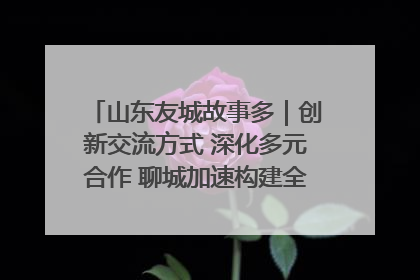 山东友城故事多｜创新交流方式 深化多元合作 聊城加速构建全球友城新格局