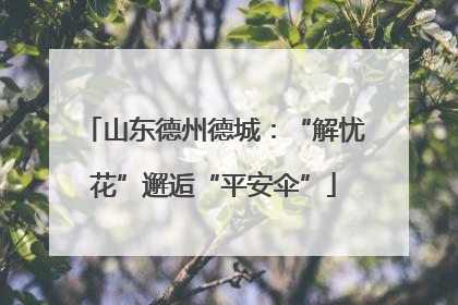 山东德州德城：“解忧花”邂逅“平安伞”