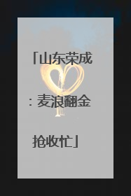 山东荣成：麦浪翻金抢收忙