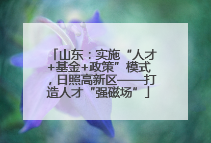 山东：实施“人才+基金+政策”模式，日照高新区——打造人才“强磁场”