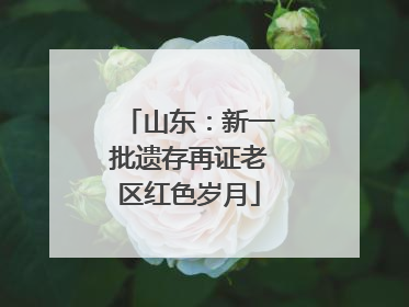 山东：新一批遗存再证老区红色岁月
