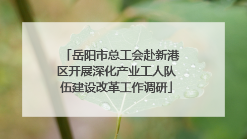 岳阳市总工会赴新港区开展深化产业工人队伍建设改革工作调研