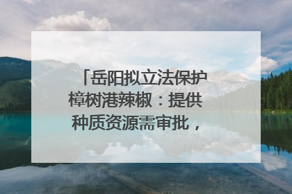 岳阳拟立法保护樟树港辣椒：提供种质资源需审批，违规最高罚5万