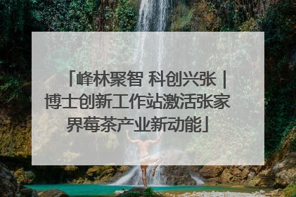 峰林聚智 科创兴张｜博士创新工作站激活张家界莓茶产业新动能