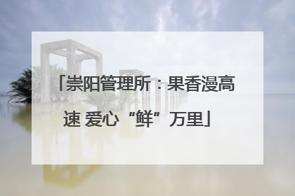 崇阳管理所：果香漫高速 爱心“鲜”万里