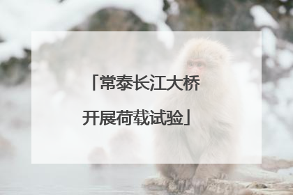 常泰长江大桥开展荷载试验