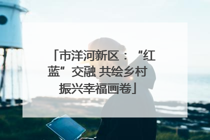 市洋河新区：“红蓝”交融 共绘乡村振兴幸福画卷