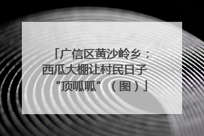 广信区黄沙岭乡：西瓜大棚让村民日子“顶呱呱”（图）