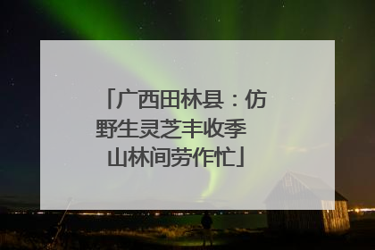 广西田林县：仿野生灵芝丰收季 山林间劳作忙