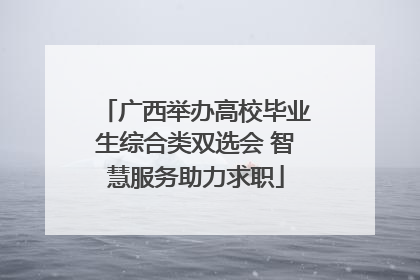 广西举办高校毕业生综合类双选会 智慧服务助力求职