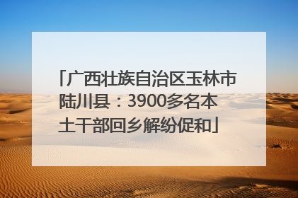 广西壮族自治区玉林市陆川县：3900多名本土干部回乡解纷促和