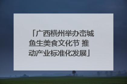 广西横州举办峦城鱼生美食文化节 推动产业标准化发展