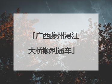 广西藤州浔江大桥顺利通车