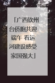 广西钦州台侨胞共迎端午 看运河建设感受家国强大