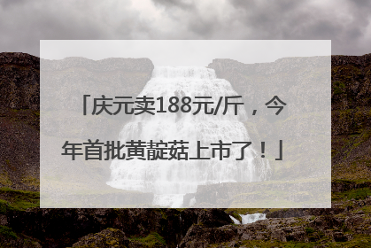庆元卖188元/斤，今年首批黄靛菇上市了！
