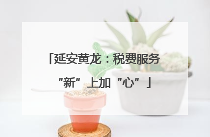 延安黄龙：税费服务“新”上加“心”