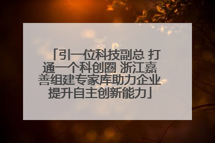 引一位科技副总 打通一个科创圈 浙江嘉善组建专家库助力企业提升自主创新能力