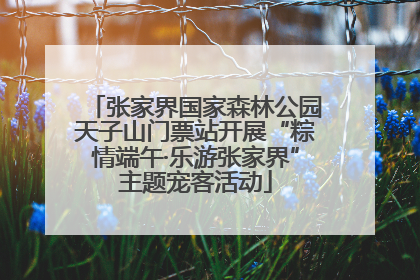 张家界国家森林公园天子山门票站开展“粽情端午·乐游张家界”主题宠客活动