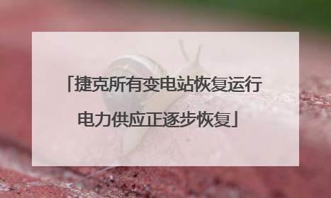捷克所有变电站恢复运行 电力供应正逐步恢复