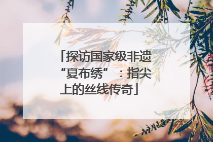 探访国家级非遗“夏布绣”：指尖上的丝线传奇