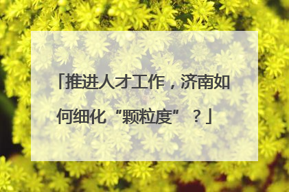 推进人才工作，济南如何细化“颗粒度”？