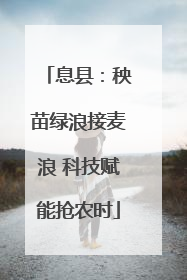 息县：秧苗绿浪接麦浪 科技赋能抢农时