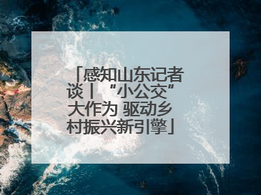 感知山东记者谈丨“小公交”大作为 驱动乡村振兴新引擎