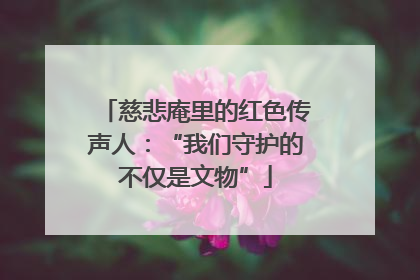慈悲庵里的红色传声人：“我们守护的不仅是文物”