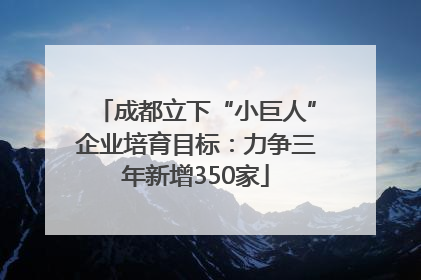 成都立下“小巨人”企业培育目标：力争三年新增350家