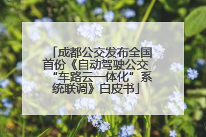 成都公交发布全国首份《自动驾驶公交“车路云一体化”系统联调》白皮书