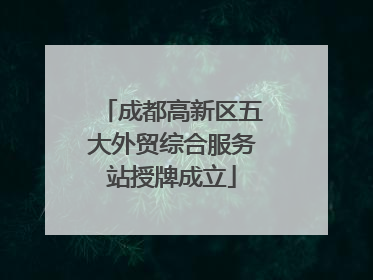 成都高新区五大外贸综合服务站授牌成立