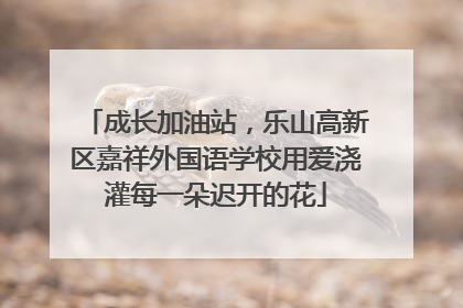 成长加油站，乐山高新区嘉祥外国语学校用爱浇灌每一朵迟开的花
