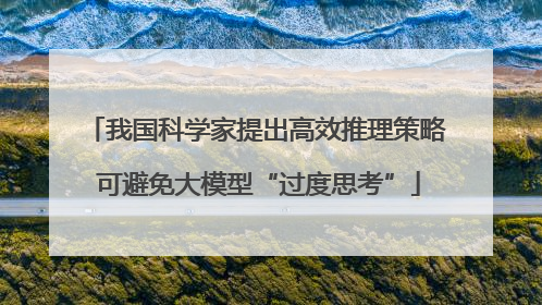我国科学家提出高效推理策略 可避免大模型“过度思考”