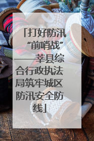 打好防汛“前哨战”——莘县综合行政执法局筑牢城区防汛安全防线