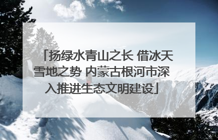 扬绿水青山之长 借冰天雪地之势 内蒙古根河市深入推进生态文明建设