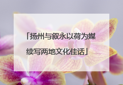 扬州与叙永以荷为媒续写两地文化佳话