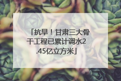 抗旱！甘肃三大骨干工程已累计调水2.45亿立方米